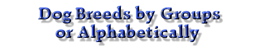 Purebred Dog Breeds, Dog Breeder, Puppies