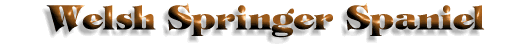 Welsh Springer Spaniel Title