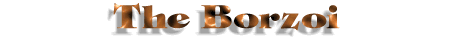 The Borzoi, a Gazehound dog.