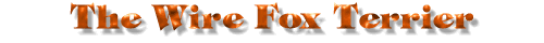 Title: Wirehaired Fox Terrier information