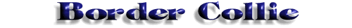 Border Collie Title